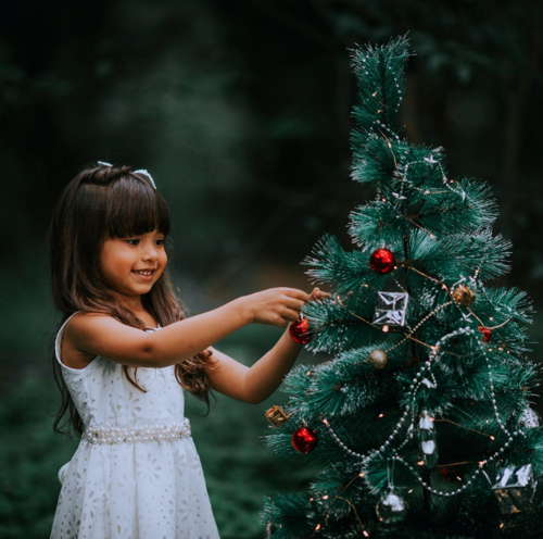 Christmas in July: Trees for Sale and Political Debates