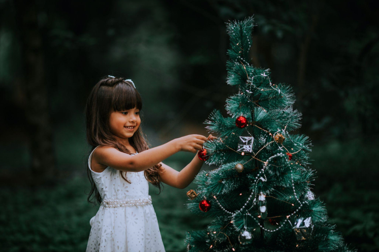 Christmas in July: Trees for Sale and Political Debates