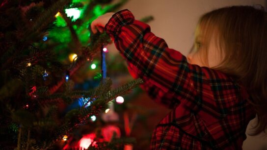 Find the Perfect Christmas Tree on Sale This Season