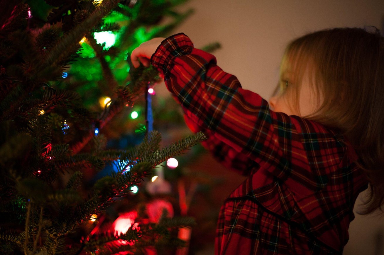 Find the Perfect Christmas Tree on Sale This Season