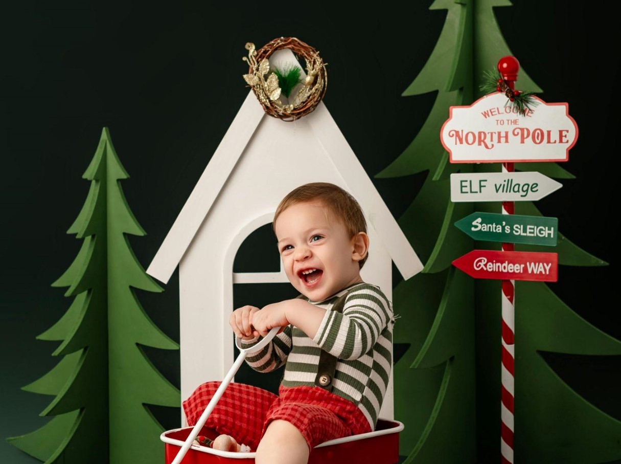 Pre-Lit Christmas Trees Are the Most Realistic Choice